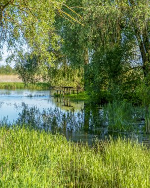 Poltava bölgesinde güneşli bir günde Sula nehri. İlkbahar Ukrayna manzarası.