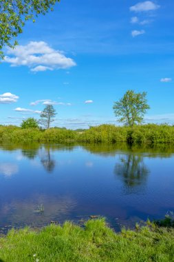 Poltava bölgesinde güneşli bir günde Sula nehri. İlkbahar Ukrayna manzarası.