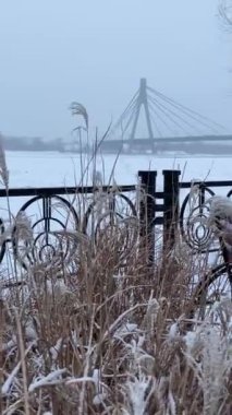 Dnipro nehri buzla kaplı ve Dnipro nehri, Ukrayna, Kyiv 'in tepesinde kuşlar var.