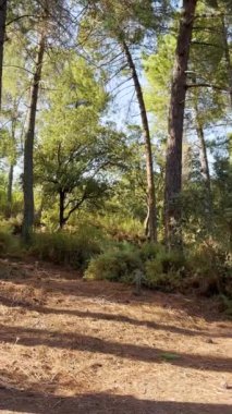 Eğlence alanı, Sierra Tejeda Doğal Parkı, El Robledal, İspanya