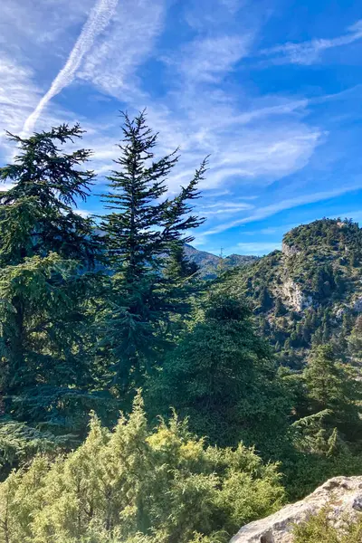 Torrecilla, Sierra de las Nieves Ulusal Parkı, Endülüs, İspanya