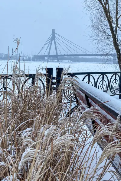 Dnipro nehri buzla kaplı ve Dnipro nehri, Ukrayna, Kyiv 'in tepesinde kuşlar var.