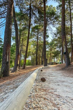 El Robledal dinlenme alanı, Maroma, Sierra Tejeda Doğal Parkı, İspanya 'ya yürüyüş parkı.