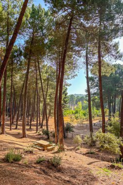 El Robledal dinlenme alanı, Maroma, Sierra Tejeda Doğal Parkı, İspanya 'ya yürüyüş parkı.