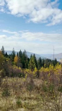 Sonbaharın sonlarında Karpatlar 'ın dağlarında, Slavske, Ukrayna