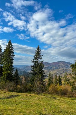 Sonbaharın sonlarında Karpatlar 'ın dağlarında, Slavske, Ukrayna