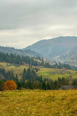 Sonbaharın sonlarında Karpatlar 'ın dağlarında, Slavske, Ukrayna