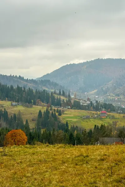 Sonbaharın sonlarında Karpatlar 'ın dağlarında, Slavske, Ukrayna