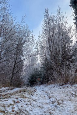Slovakya 'nın başkenti Slovenya' nın başkenti Raj 'da muhteşem manzaralar sunan Tomasovsky manzaralı soğuk kış yürüyüşü.