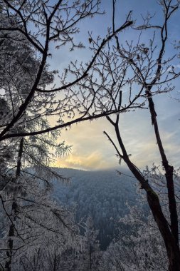 Slovakya 'nın başkenti Slovenya' nın başkenti Raj 'da muhteşem manzaralar sunan Tomasovsky manzaralı soğuk kış yürüyüşü.