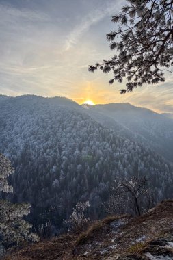 Slovakya 'nın başkenti Slovenya' nın başkenti Raj 'da muhteşem manzaralar sunan Tomasovsky manzaralı soğuk kış yürüyüşü.