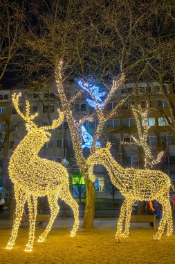 SLOVAKIA, POPRAD - 30 ARALIK 2024: Slovakya 'nın Poprad kentindeki şehir merkezinde kristal ışıklar