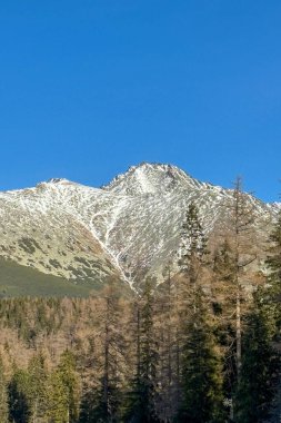 Strbske Pleso 'nun kış manzarası, tanınmış bir kayak merkezi, en iyi turizm beldesi ve Slovakya' nın aynı adı taşıyan buzullu göl kıyısında bulunan sağlık inzivası..