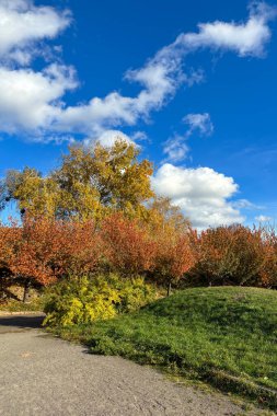 Bereketli yeşil çimenler açık arazi boyunca uzanır, yukarıdaki engin mavi gökyüzü ise ılık güneş ışığında huzur içinde süzülen tüylü beyaz bulutlarla doludur.