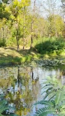 POLTAVA REGION, UKRAINE - 15 Eylül 2024: Kırsal kesimdeki sakin bir nehirde kanolar