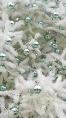 KYIV, UKRAINE - 24 Aralık 2024: Ukrayna 'nın başkenti Kyiv' de Sant Sophia Kilisesi 'nde Noel Ağacı