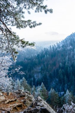 Slovakya 'nın başkenti Slovenya' nın başkenti Raj 'da muhteşem manzaralar sunan Tomasovsky manzaralı soğuk kış yürüyüşü.