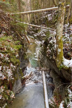 Slovakya 'nın başkenti Slovenya' nın başkenti Raj 'da muhteşem manzaralar sunan Tomasovsky manzaralı soğuk kış yürüyüşü.