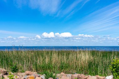 Ukrayna 'nın Kiev Denizi kıyısında güzel manzaralar açılıyor ve su ile doğanın barışçıl uyumunu gözler önüne seriyor..
