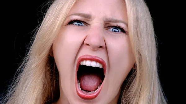 Angry woman yells while looking at camera on black background. Headshot of girl screaming at camera with her mouth open. Resentment, discontent, hatred.