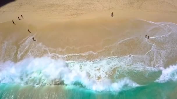 きれいな砂浜の空中ドローンビュー インド洋沿岸 海岸で青い波がクラッシュします テキストのスペースをコピーします 自然と旅 夏休みのための美しい旅行のコンセプト 波と砂 — ストック動画