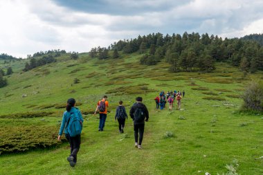 Doğa sporlarını seven insanların sırt çantalarıyla doğada yürümeleri. Etrafta bir sürü ardıç çayı var. Kizilhamam, Ankara, Türkiye