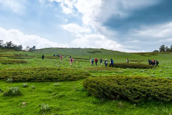 stock image People who love nature sports walk in nature with their backpacks. There are many juniperus tree around. Kizilcahamam, Ankara, Turkey