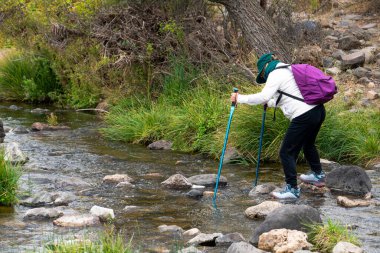 Dişi bir yürüyüşçü, bastonu ve sırt çantasıyla kayalara basarak dereyi geçiyor..