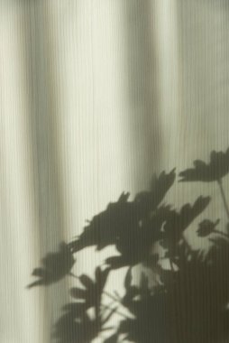 Beyaz ahşap arka planda çiçeklerin gölgeleri