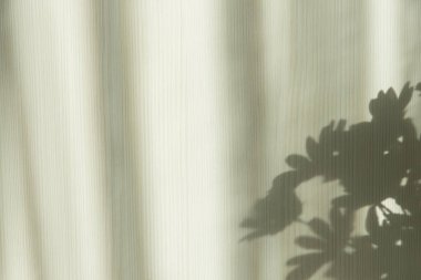 Beyaz ahşap arka planda çiçeklerin gölgeleri