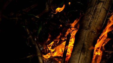 Alev, ısı yangını soyut arka plan siyah arkaplan, gerçekçi alev kavramı