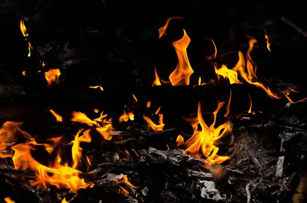 Alev Isı Yangını Soyut Arka Plan Siyah Arkaplan Gerçekçi Alev — Stok fotoğraf