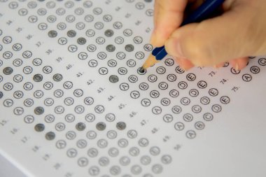 Hayalperest yabani çimen çiçekleri, güneş ışığı....