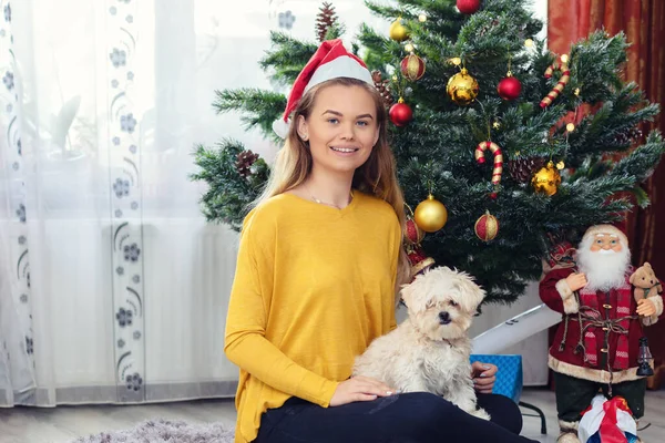 Mujer Feliz Sorprendida Por Cachorro Perro Regalo Navidad Sentado Suelo Imagen de stock