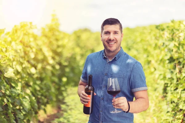 Smiling Young Man Holding Glass Bottle Wine Vineyard Royalty Free Stock Photos