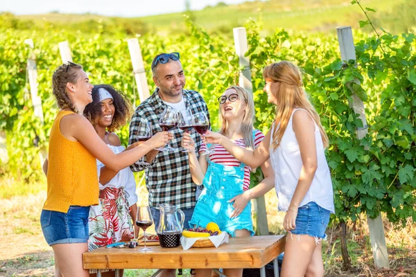 Hombres Mujeres Felices Divirtiéndose Bebiendo Vino Viñedos Durante Recorrido Fiesta Fotos de stock libres de derechos