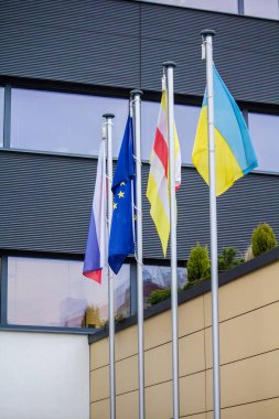 Flags of Ukraine, Slovakia and the European Union on the street