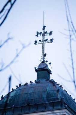 Kubbede ve Katolik Kilisesi 'nin haçında birçok güvercin var..