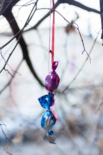 Hanging toys on trees outside before Christmas