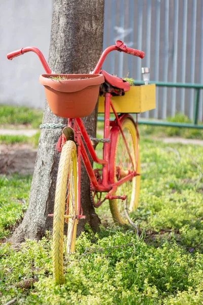 Декоративный Садовый Велосипед Цветочный Горшок — стоковое фото