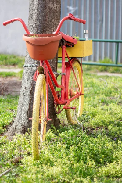 Decorative Garden Bicycle Flowerpot — Stock Photo, Image