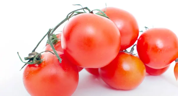 Tomates Cherry Cerca Sobre Fondo Blanco — Foto de Stock