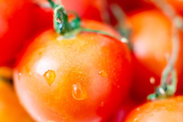 Rote Tomaten Mit Wassertropfen Großaufnahme — Stockfoto