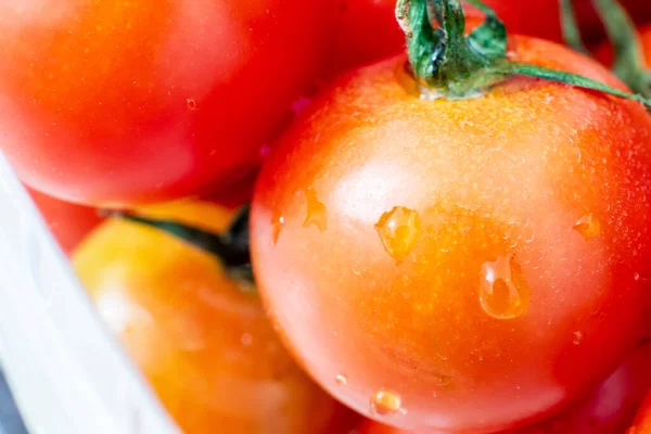 Tomates Rojos Con Gotas Agua Cerca — Foto de Stock