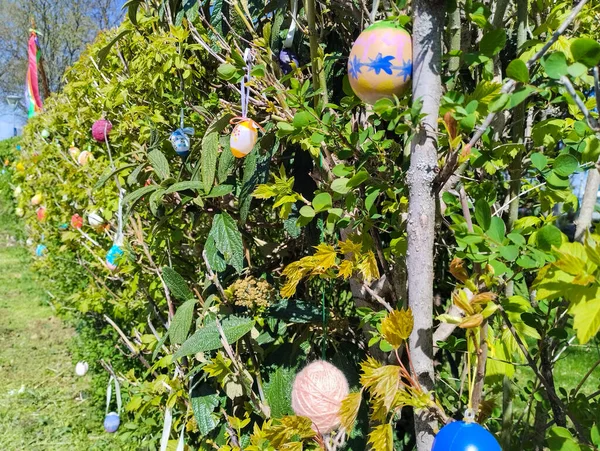 Bäume Vor Ostern Mit Eiern Dekorieren — Stockfoto