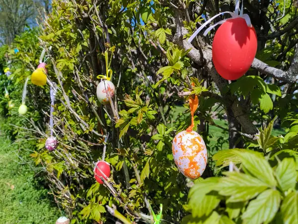 Украшение Деревьев Яйцами Перед Пасхой — стоковое фото
