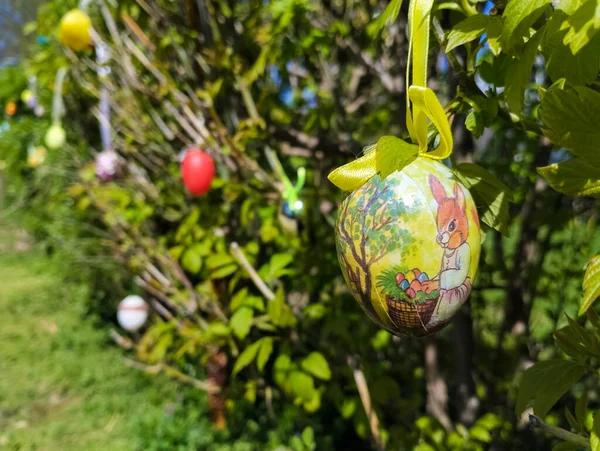 复活节前用彩蛋装饰树木 — 图库照片