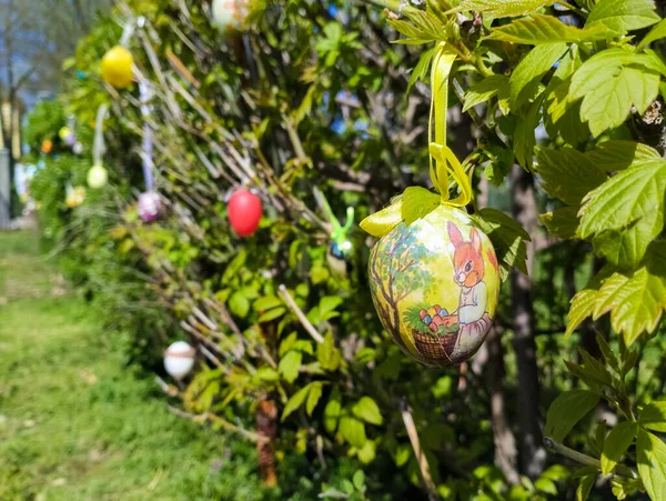 Decorar Árboles Con Huevos Antes Pascua — Foto de Stock