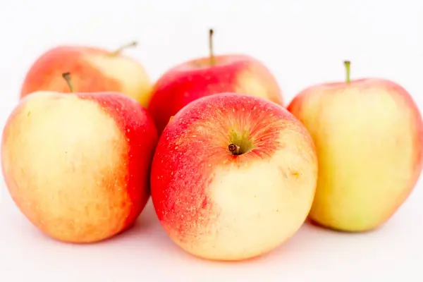 Jablka Izolované Bílém Pozadí — Stock fotografie