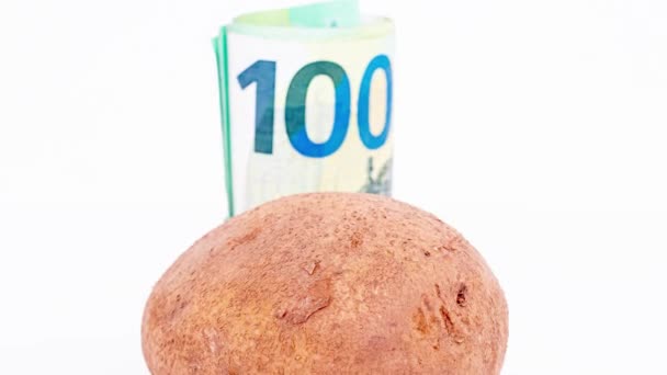 Букет Банкнот Євро Картоплі — стокове відео